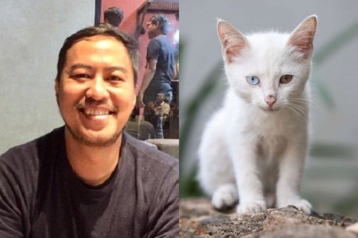 Panji Sebut Kucing Binatang Gembel Ini 4 Manfaat Memelihara Kucing