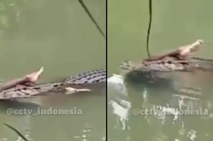 67+ Gambar Kolase Pasir Gratis Terbaru