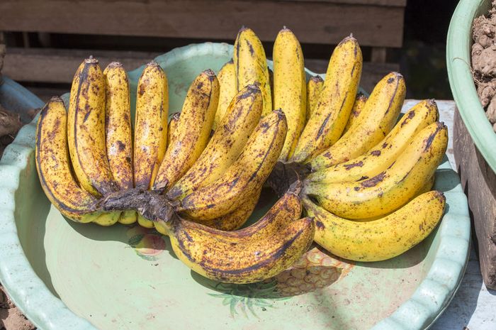  Pisang  Memang Menyehatkan Namun Perhatikan Dulu 3 Hal Ini 