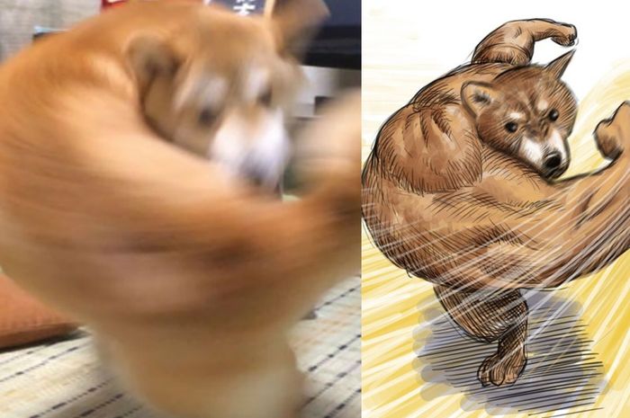Foto Blur Anjing Ini Malah Viral Dan Jadi Meme Netizen Seakan