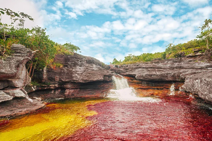 Keren, Sungai Cano Cristales Punya Lima Warna, Apa Sebabnya, ya? Bobo