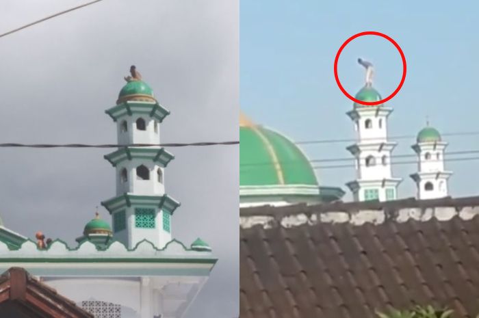 Viral! Pria di Lombok Diduga Hendak Bunuh diri dari Menara Masjid, Sempat Dikejar-kejar Ayahnya Saat Subuh