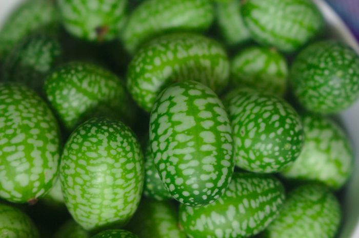 Cucamelon, Buah yang Ukurannya Kecil Tapi Termasuk Superfood Bobo