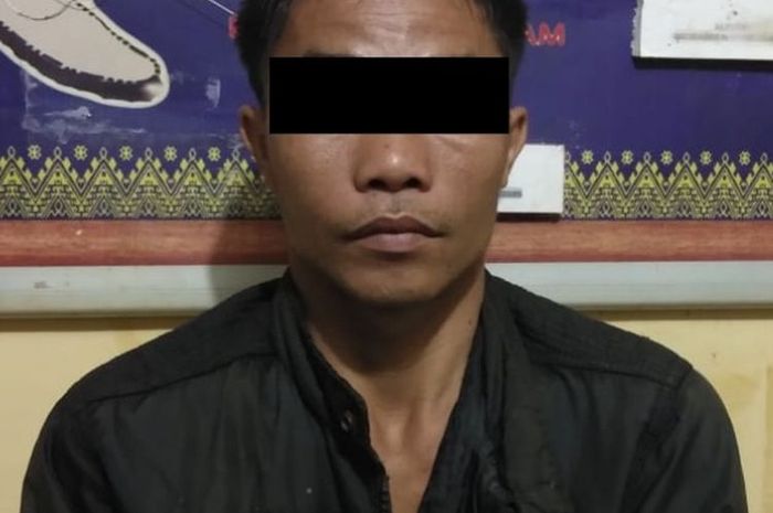 Pelaku pencabulan terhadap adik ipar yang masih di bawah umur