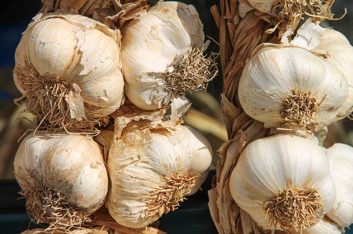 Bawang putih cegah risiko kanker