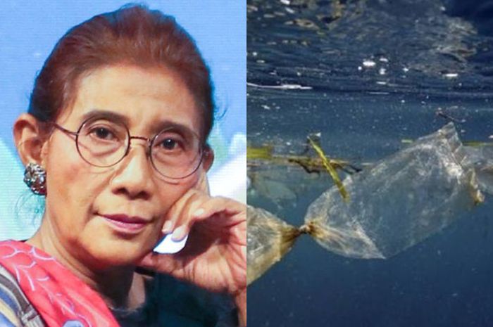 4200 Koleksi Kolase Ikan Di Laut HD Terbaik