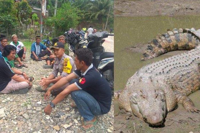76 Koleksi Gambar Kolase Jerami Gratis