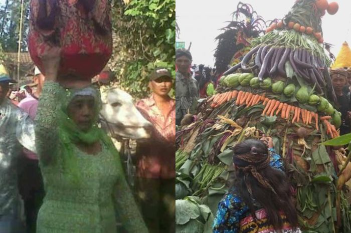 Manten Sapi, Gendong Kambing, Hingga Mepe Kasur, Berbagai Tradisi Unik