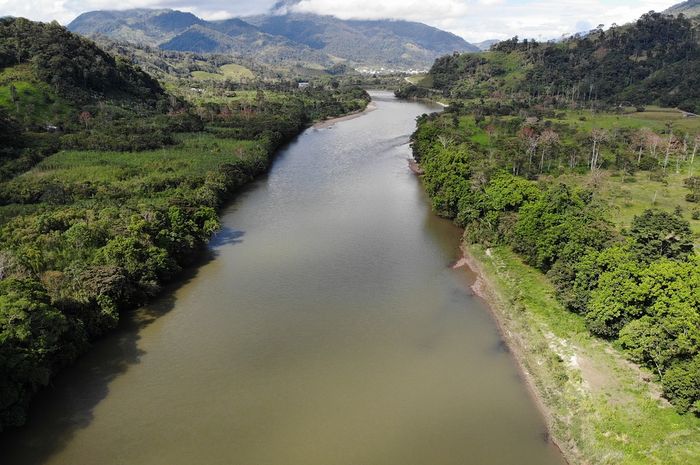 Jadi Sungai Terpanjang Kedua, Ada Berapa Jembatan di Sungai Amazon, ya