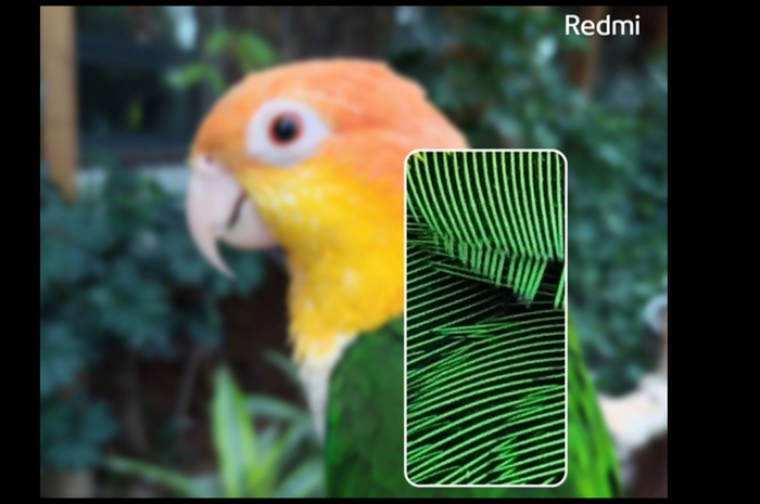 Review Kamera Xiaomi Redmi Note 8 Pro 64mp Bersensor