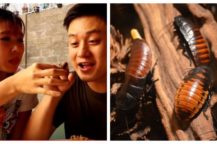 Sungguh Menjijikkan, Youtuber Asal Indonesia ini Makan Indomie dengan