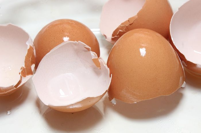 Rupanya Kulit Telur Bisa Dimakan Apakah Aman untuk Tubuh 