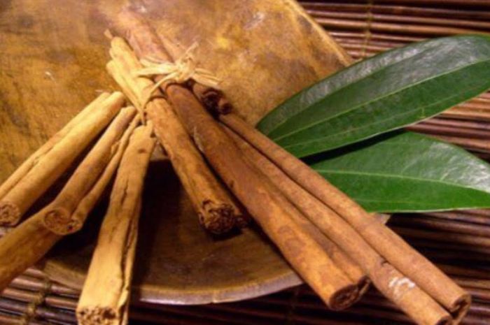 Campuran Daun Salam Dan Kayu Manis Untuk Turunkan Berat Badan Mau Coba Semua Halaman Intisari