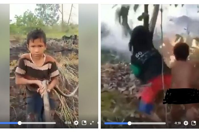 Bocah 13 Tahun Ikut Memadamkan Lahan yang Terbakar Saat Karhutla Membakar Ladang di Riau