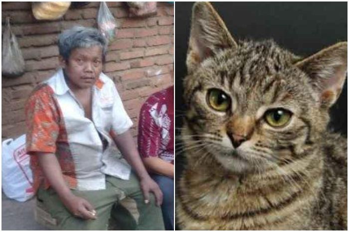Kakak beradik di Lampung kedapatan makan <a href='https://sumsel.tribunnews.com/tag/kucing' title='kucing'>kucing</a> liar