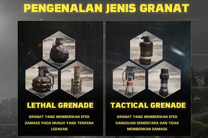 Call Of Duty Mobile Grenades