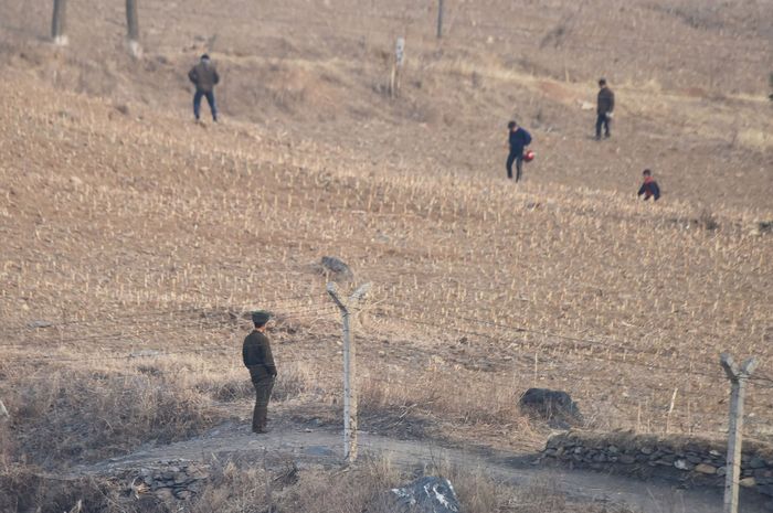 Ladang eksekusi di Korea Utara.