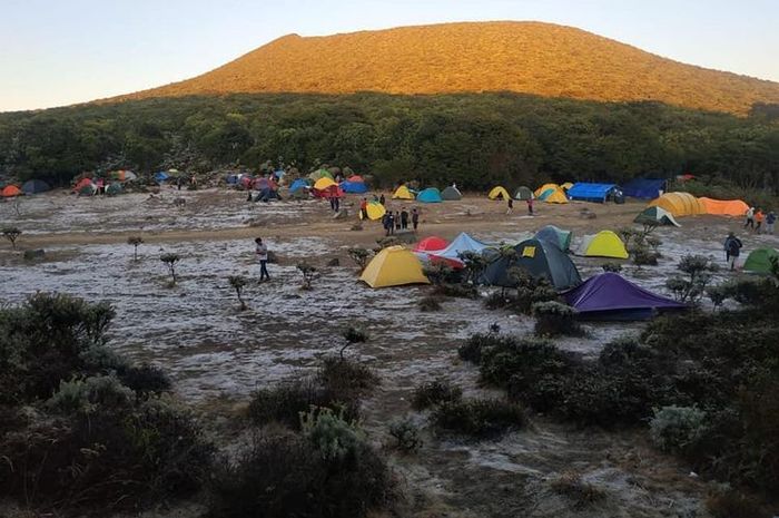Fenomena Embun Es Membuat Gunung Gede Jadi 'Padang Es', Ada Apa? Bobo