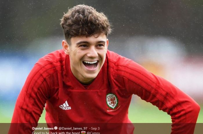 Pemain Muda Wales, Daniel James