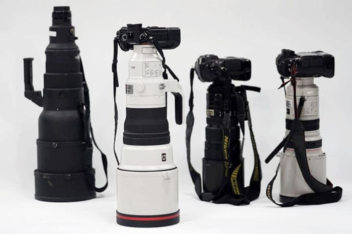 Jadi Pilihan Kamera Terbaik, Hasil Foto Lensa Tele untuk Mirrorless