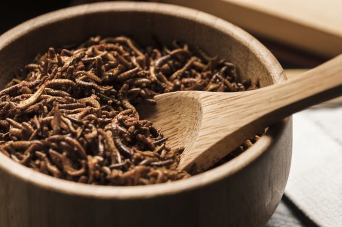 Tafsir Mimpi Melihat Belatung, Benarkah Ini Merupakan Pertanda Buruk? -  Semua Halaman - Suar