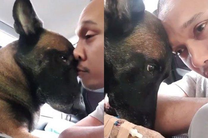 Sempat Serang Asisten Rumah Tangga Dan Dipisahkan Dari Pemiliknya