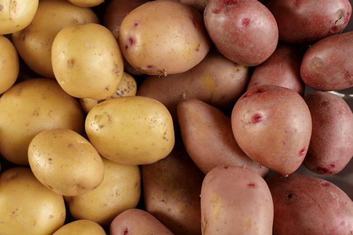 Pernah Coba Diet Kentang? Efektif Menurunkan Belasan Kilo Hanya Dalam