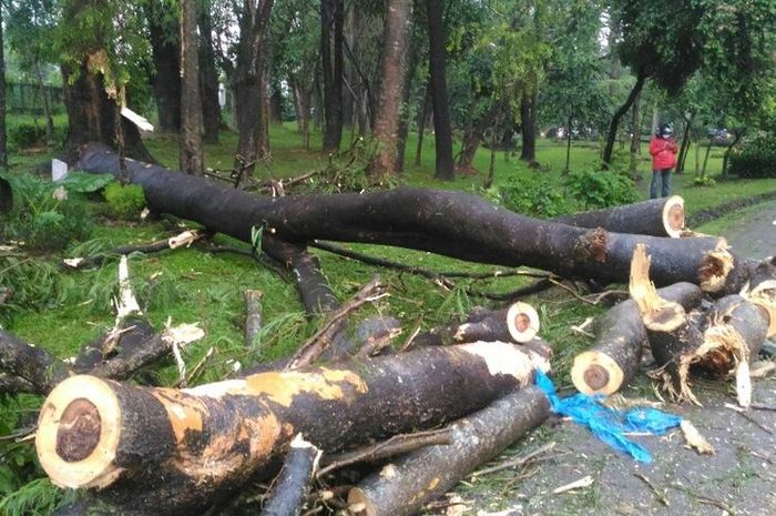 Hati-hati! BMKG Cilacap Waspadai Daerah Ini Karena Cuaca ...