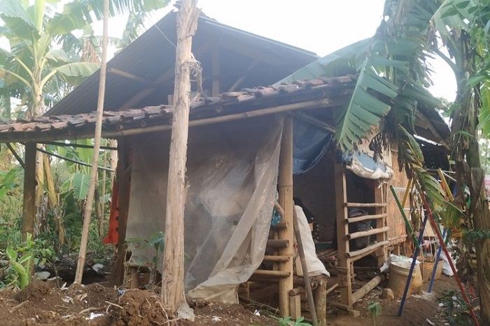 Marlina kini menempati saung di tengah hutan