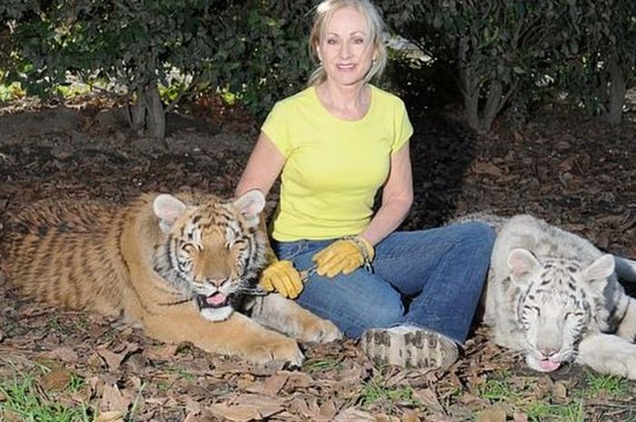 TERUNGKAP Gadis Diterkam 2 Harimau yang Dibesarkannya 
