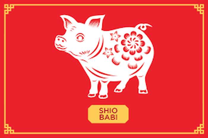 Ramalan Shio Babi Tahun 2020: Semua Mulus Dari Percintaan, Bisnis ...