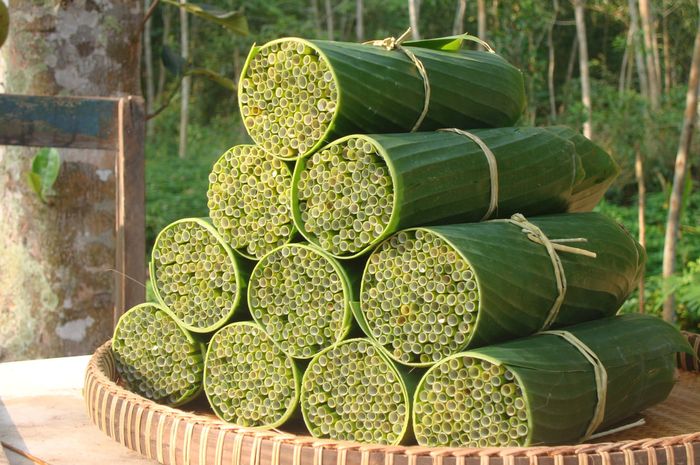Sedotan Ramah Lingkungan, Warga Vietnam Ciptakan Sedotan dari Rumput Bobo