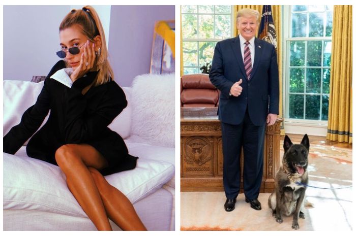 Hailey Baldwin komenatri pemakzulan Donald Trump