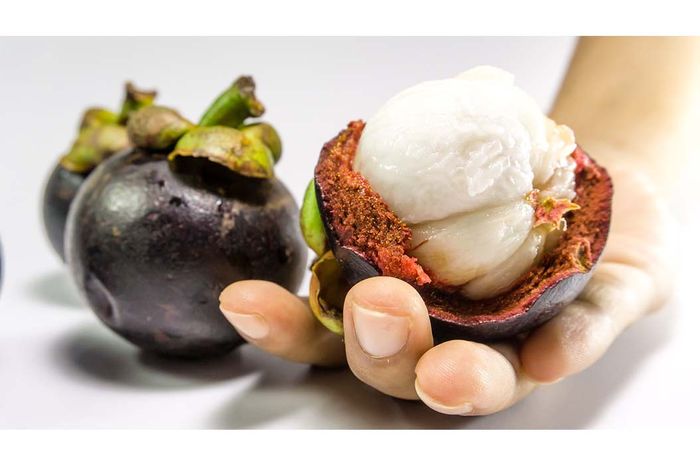 Tidak Hanya Buahnya, Ternyata Kulit Manggis Juga