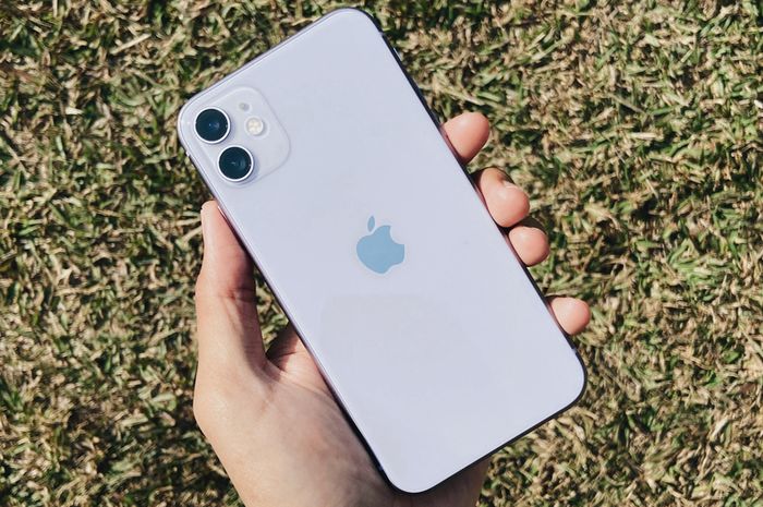 Cara Menggunakan Fitur Capture Outside The Frame Di Iphone 11 Semua Halaman Makemac