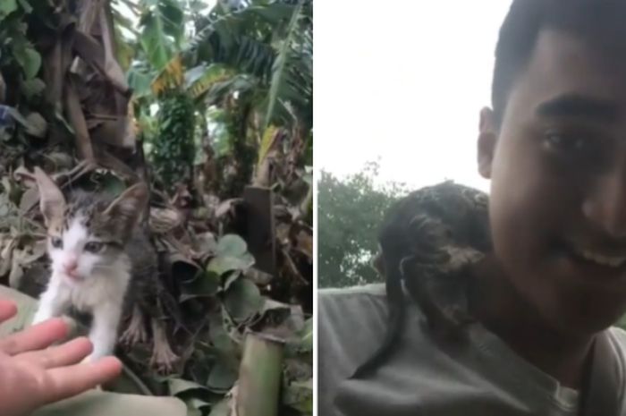 Aksi Heroik Seorang Pemuda Selamatkan Seekor Kucing Yang Sudah 2 Hari Terjebak Banjir Netizen Udah Ganteng Penyayang Kucing Lagi
