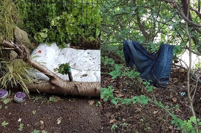 Hasil gambar untuk Temukan Ranjang di Dalam Hutan, Seorang Ibu Kaget di Samping Sekolah Anaknya Ada Praktek Prostitusi Terselubung"