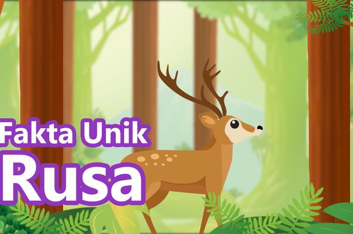 Bisa Berlari Lebih Cepat dari Singa, Ini Dia FaktaFakta Unik Rusa! Bobo