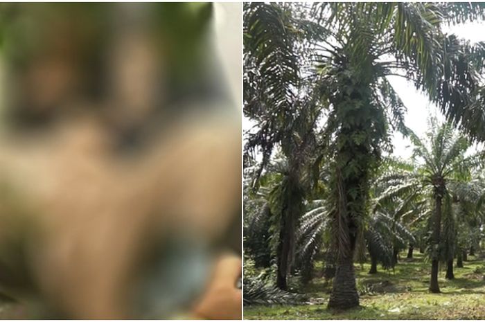 Dipenuhi Nafsu Birahi Gegara Sebulan Tak Melihat Wanita, Pemuda Ini Mengira Nenek 51 Tahun Sebagai Gadis Dan Memperkosanya di Sebuah Kebun Semangka, Ini Kronologinya!