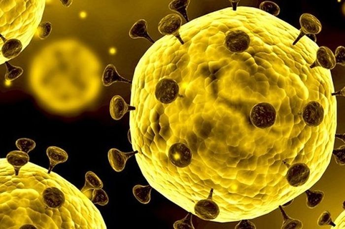 33++ Virus corona berasal dari hewan information