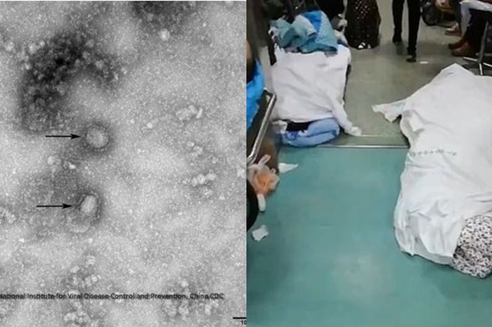 520 Gambar Kolase Dokter Terbaik