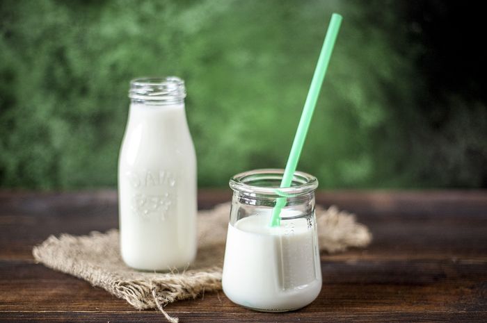 Susu Sapi Bermanfaat Baik untuk Tubuh, Ketahui Asal Mula Manusia Minum