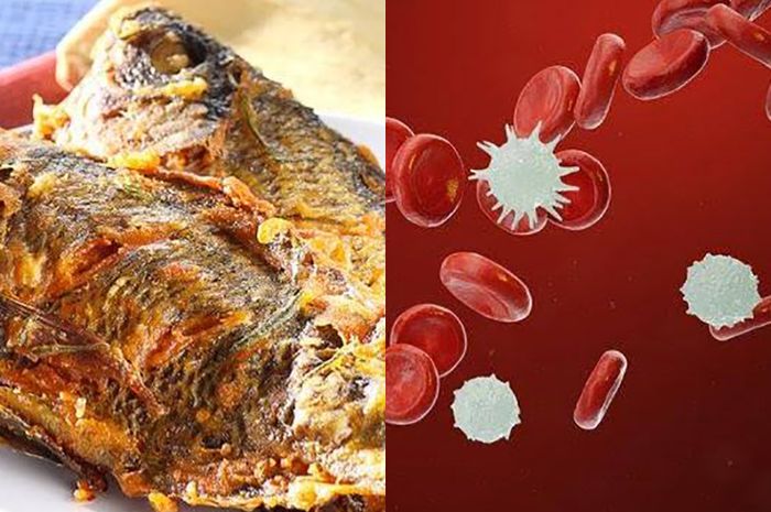 Jadi Makanan Favorit Sejuta Umat Ternyata Ikan Mujair Bisa Picu