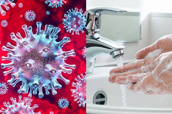 Image result for corona virus cuci tangan