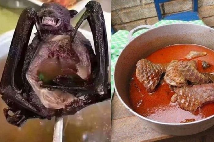 Bukan Kelelawar, Sup Daging Hewan ini yang Justru Disebut-sebut ...