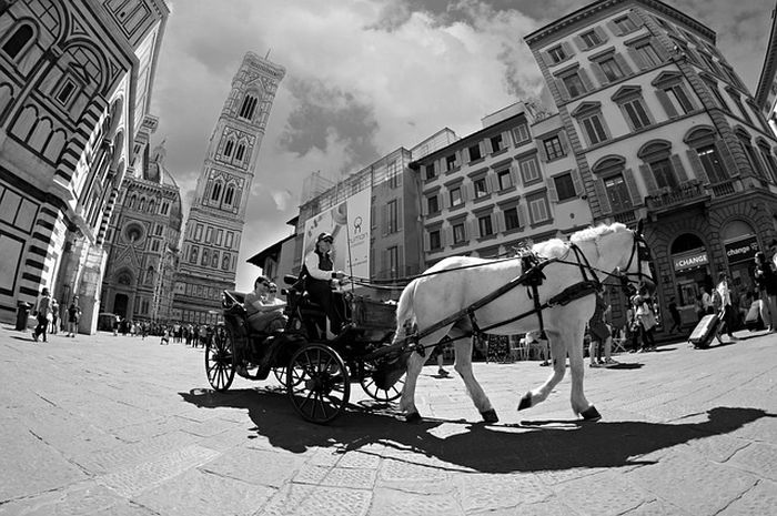 Tafsir Mimpi Naik Delman Benarkah Ini Malah Sebuah Pertanda Baik Semua Halaman Suar