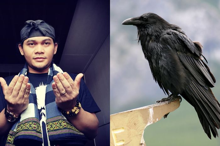 Geger Serangan Burung Gagak Di Wuhan Mbah Mijan Ungkap Pertanda