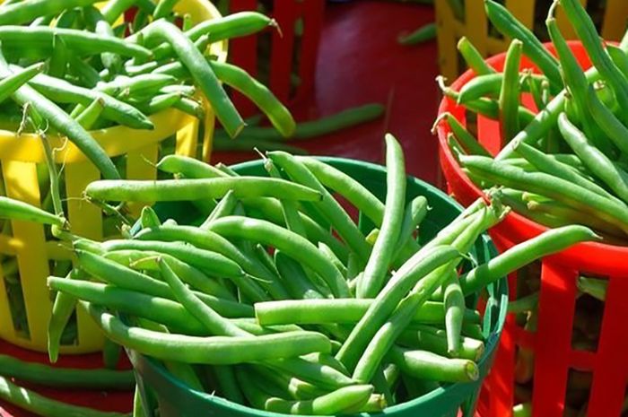 Hanya Dianggap Sayur Biasa, Ternyata Kacang Panjang Simpan Sederet