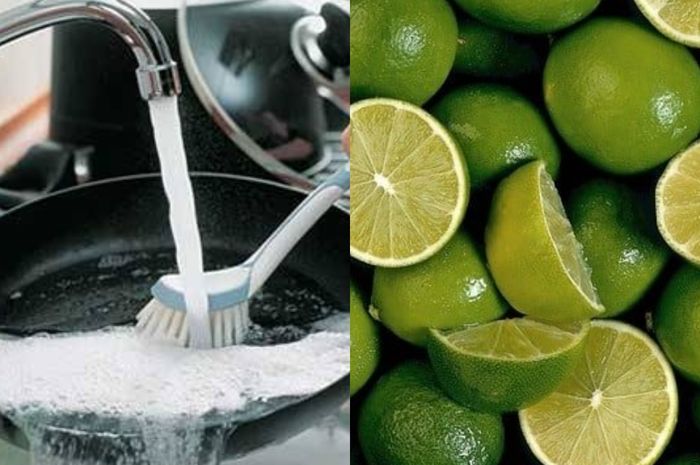 73+ Gambar Kolase Jeruk Gratis