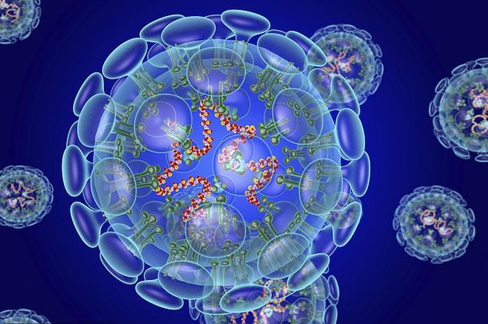 Mutasi virus corona dan siklus hidupnya